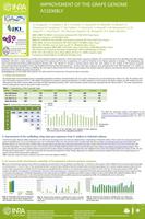 poster PAG 2014 genome assembly